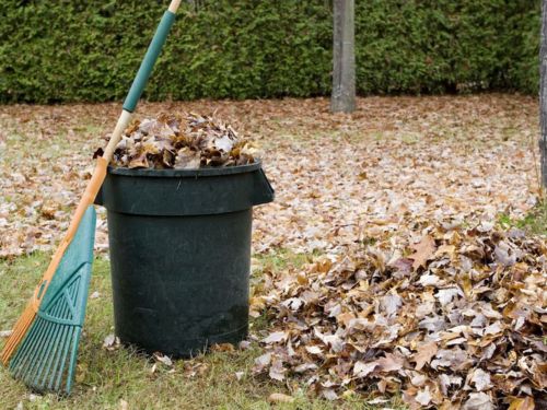 Yard Waste Removal Services in Alpharetta