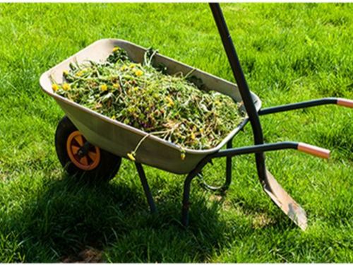 Yard Waste Removal Services in Alpharetta