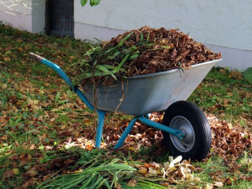 Yard Waste Removal Services in Alpharetta