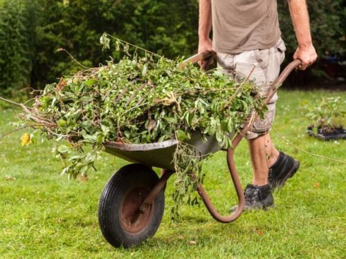 Yard Waste Removal Services in Alpharetta